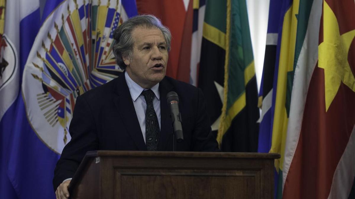 El secretario general de la Organización de Estados Americanos (OEA), Luis Almagro, prometió este martes 21 de marzo dar voz a las ONG de Venezuela mientras esté al frente del organismo porque los venezolanos no tienen cómo responder a "un régimen autoritario que les niega los derechos más básicos".
