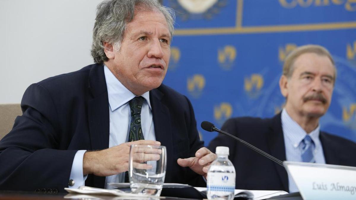 Luis Almagro, secretario general de la OEA, participa en un evento en Miami Dade College, el 21 de octubre de 2016, en Miami. A la derecha está Vicente Fox, ex presidente de México.
