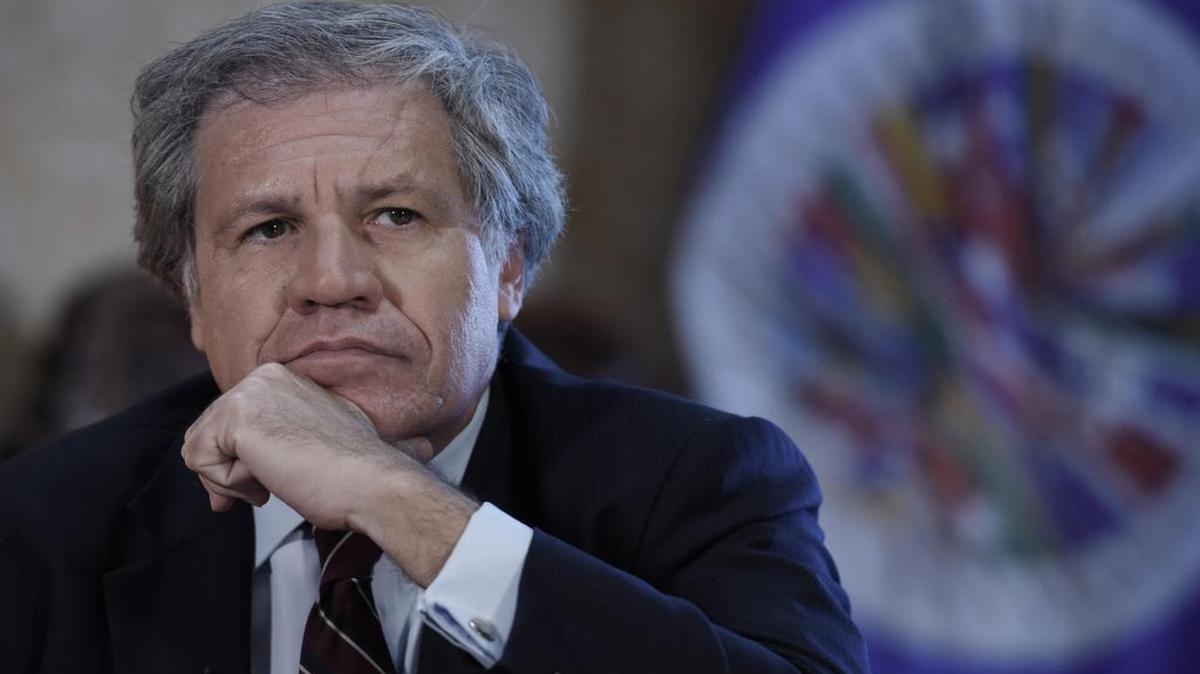 El secretario general de la OEA, Luis Almagro, dijo el jueves 23 de febrero del 2017, estar "dolido" por las "mentiras" del Gobierno cubano sobre sus intenciones al querer asistir a un acto de la disidencia en la isla, y consideró que el país "no está listo" para volver al organismo, en Washington, DC. "Me duele porque esperaba y pensaba otra cosa.