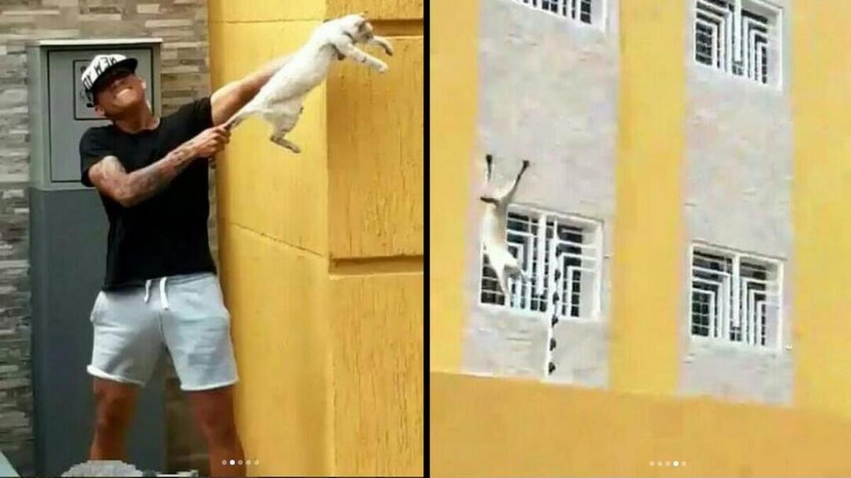 El futbolista David Barreto es grabado maltratando a un gato en su tiempo libre.
