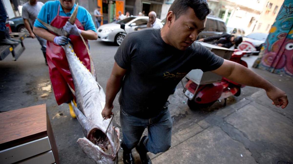 Trabajadores cargan un atún en un mercado en el centro de Caracas. El precio del kilo de atún al cambio oficial es $250, pero con el cambio del dólar negro el precio sería $2.50.