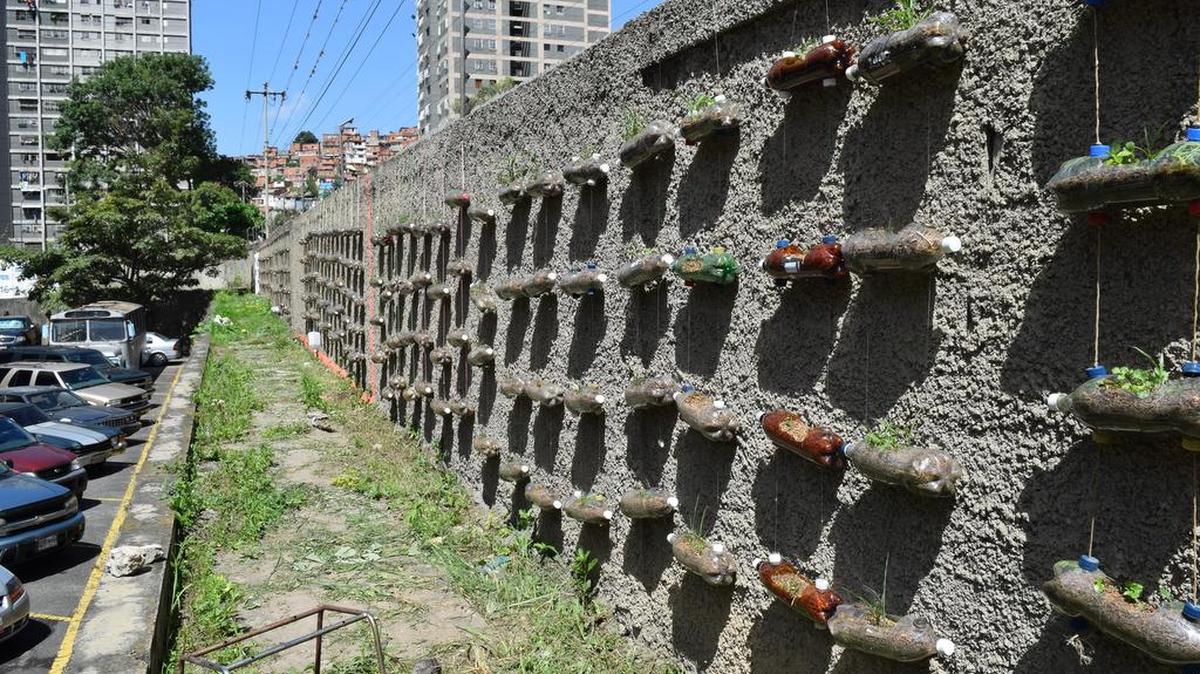 Un muro lleno de botellas plásticas adaptadas para sembrar vegetales comestibles en la Universidad Simón Rodríguez de Caracas.