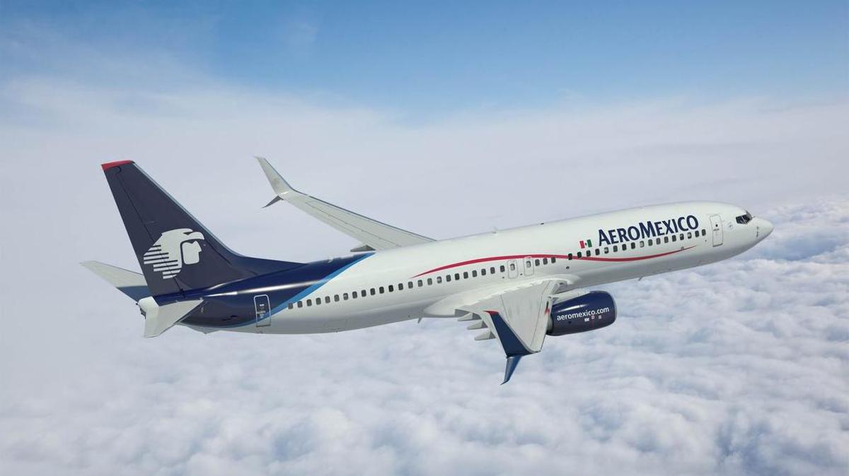 La línea aérea informó en un comunicado que la suspensión será de manera indefinida.