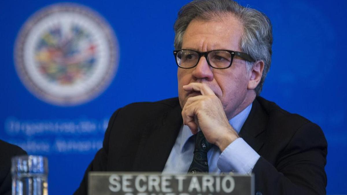 El secretario general de la Organización de Estados Americanos (OEA), Luis Almagro.