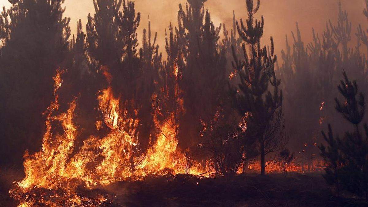 Bomberos intentan apagar un incendio forestal el lunes 23 de enero de 2017, en la comuna de Empedrado región del Maule, Chile. Unas 4,000 personas fueron evacuadas debido a los incendios forestales que afectan a la zona centro y sur de Chile y que desde el primero de julio han arrasado mas de 221,060 hectáreas, entre las regiones de Valparaíso y La Araucanía.
