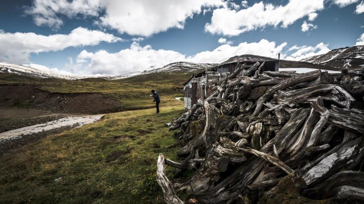 Un científico en la Patagonia chilena, región donse se busca el nexo entre América y la Antártida. En la zona en los últimos dos años se han hallado plantas fosilizadas y restos óseos de dinosaurios.
