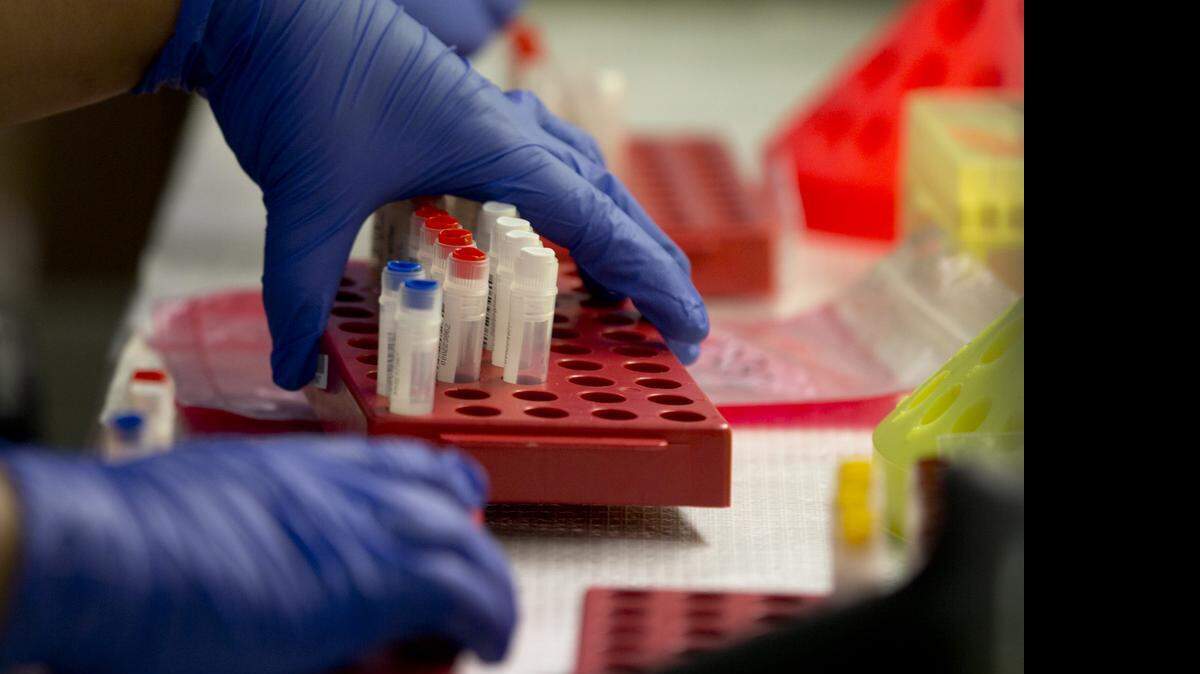 
Argentina presentará sus avances en salud durante la convención que se realizará del 20 al 24 de abril en La Habana.
