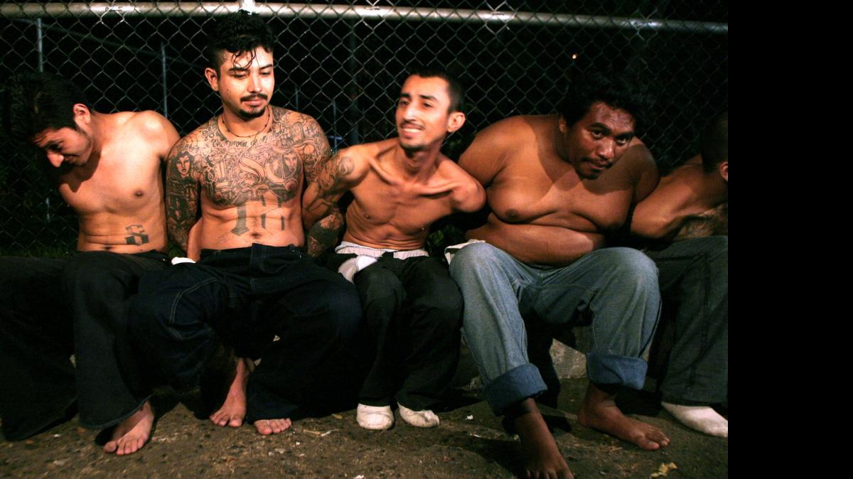
Pandilleros de la ‘Mara 18’ permanecen arrestados, tras un operativo en la ciudad de Apopa 12 kilómetros al norte de la capital salvadoreña. Foto de archivo.
