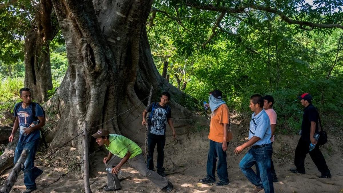 Los migrantes pasan una cerca para atravesar una finca, y así evitar los puntos de control, entre Arriaga y Chahuites.