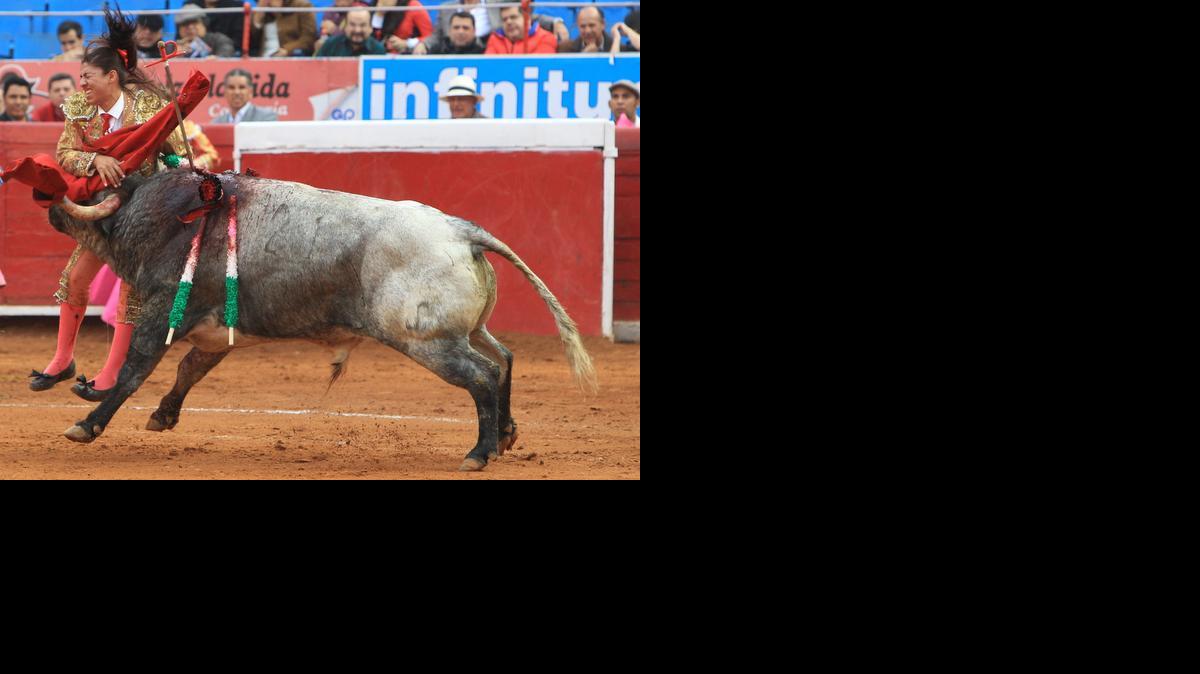 
 La torera mexicana Karla de los Ángeles lidia su primer toro de la tarde, "Gamucino", de 495 kg. el domingo 28 de diciembre de 2014, en la décima corrida de la temporada taurina 2014-2015, en la Monumental Plaza México de la capital mexicana. EFE/Mario Guzmán
