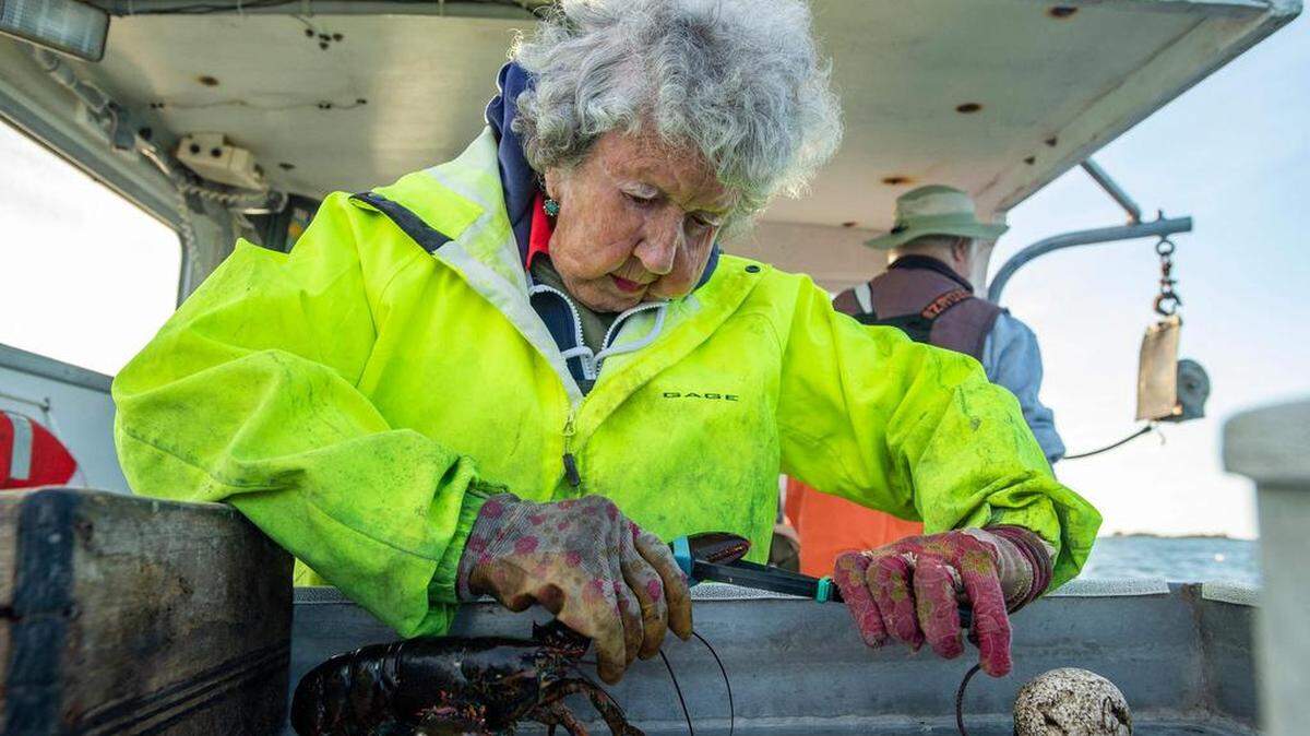 Virginia Oliver, de 101 años, ata las muelas de una langosta en una lancha en Penobscot Bay, Maine, el 31 de julio del 2021.