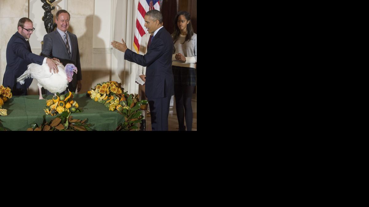
El presidente estadounidense, Barack Obama (der.), perdona al pavo “Chesse” del Día Nacional de Acción de Gracias, junto a su hija Malia y el director de la Federación Nacional del Pavo, Gary Cooper, y su hijo, Cole Cooper (izq.), en la Casa Blanca en Washington.


