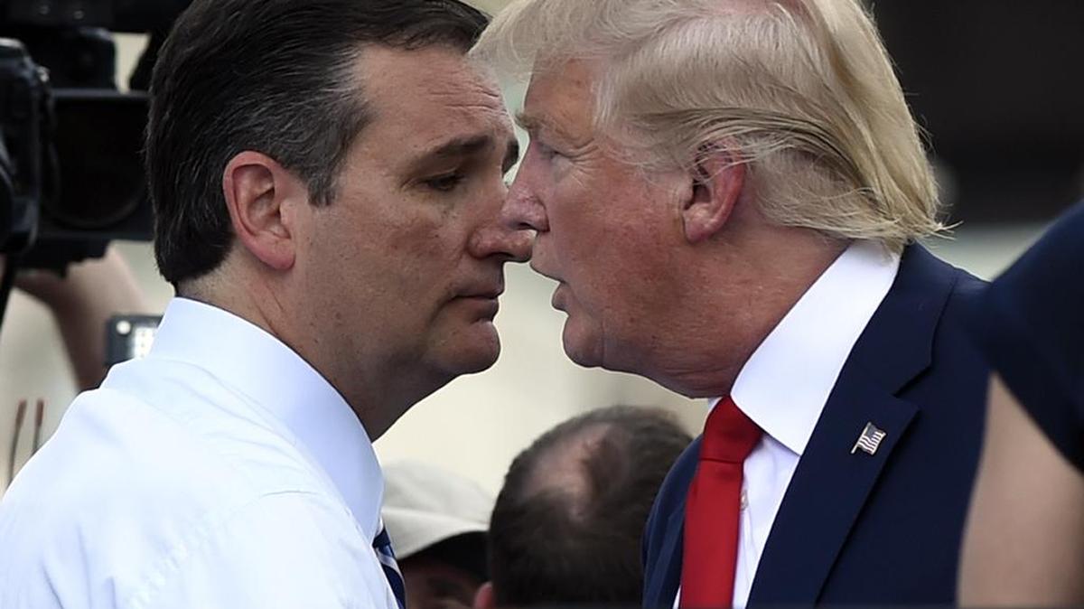 
Los aspirantes a la nominación presidencial republicana Donald Trump y Ted Cruz encabezaron el miércoles en Washington una protesta ante el Congreso contra el pacto nuclear con Irán 
