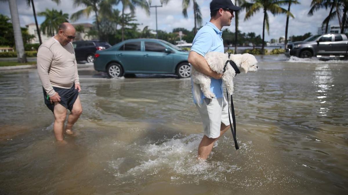 Transeúntes cruzan una calle inundada por el aumento del nivel del mar el 30 de septiembre del 2015 en Fort Lauderdale, Florida.