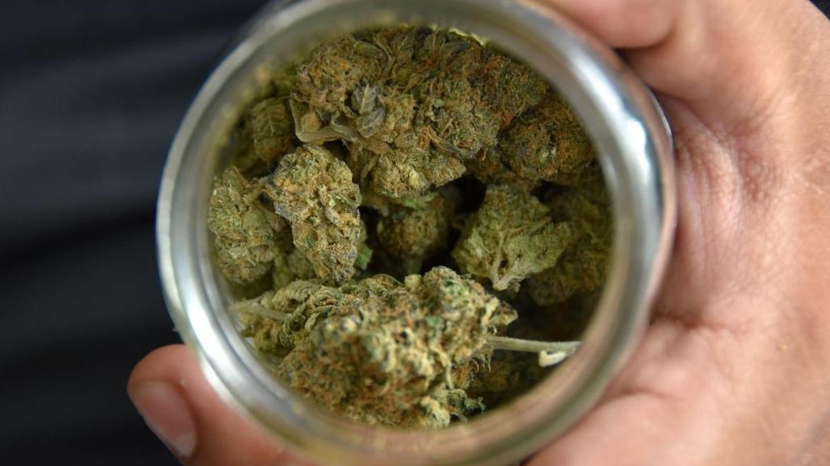 La celebración del Día de la Marihuana es este año una popular fiesta de tres días que empuja no solo las multimillonarias ventas de esta planta sino también el debate legislativo sobre la despenalización de su consumo en EEUU.