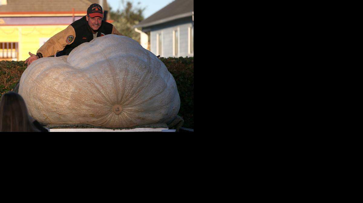 
John Hawkley, de 56 años, fue el ganador del Concurso Mundial de Calabazas Pesadas realizado el lunes en Half Moon Bay, California. 
