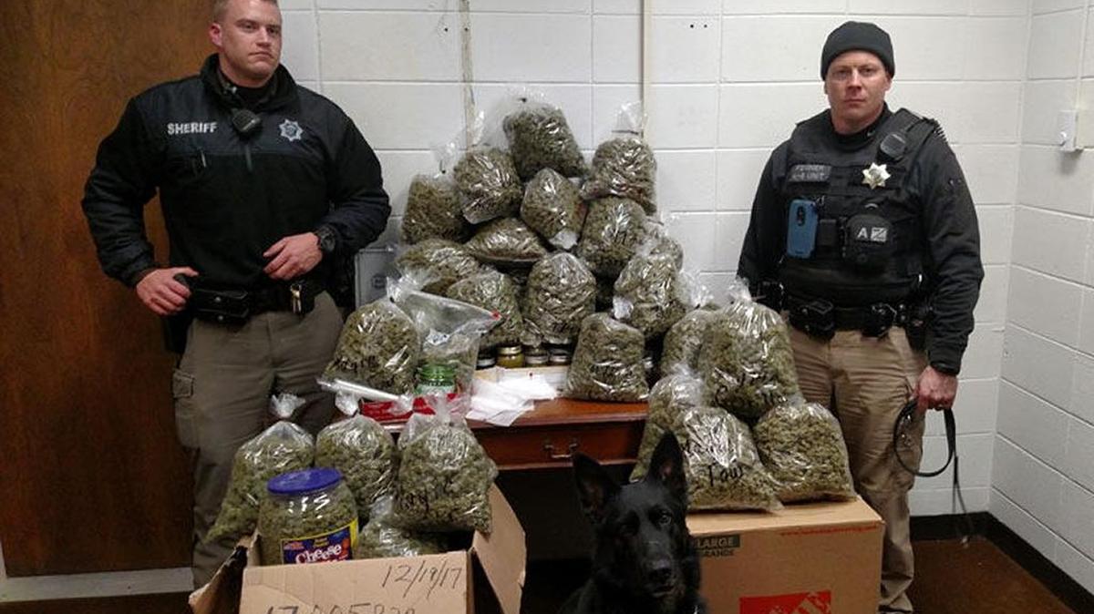 La Policía de York Town, Nebraska, halló más de 60 libras de marihuana escondidas en el platón de una camioneta Toyota. Una pareja de ancianos de más de 80 años aseguró que la llevaban para regalar en Navidad.