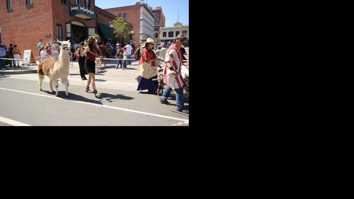 
Una mujer con una llama participa en una procesión encabezada por el arzobispo de Los Ángeles, José Gómez, hoy, sábado 4 de abril de 2015, en la histórica calle Olvera de la ciudad para bendecir a centenares de animales, como parte de las actividades previstas por las celebraciones de Semana Santa. A las 2 pm PT, la música de una banda de Mariachis marcó el inicio de un desfile guiado por una vaca de color café y en el que participaron unas 3.000 personas, según cifras del arzobispado. 
