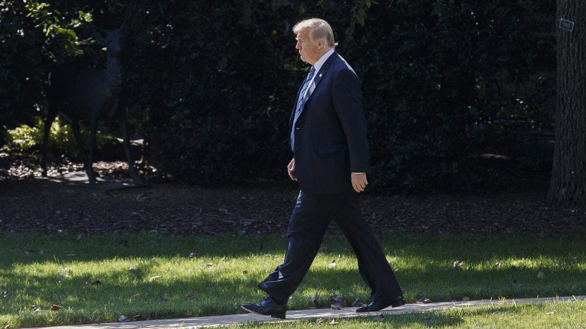 Un artículo escrito por un alto funcionario de la Casa Blanca, y publicado de manera anónima en el New York Times, ha enfurecido al presidente Donald Trump.