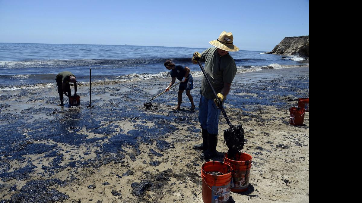 
Voluntarios llenan recipientes con lodo contaminado el miércoles durante las labores de limpieza de una playa, después de que un oleoducto submarino se rompiera, vertiendo un estimado de 21.000 galones de petróleo en el Océano Pacífico, cerca de Refugio State Beach, a 30 kilómetros al norte de Santa Barbara, California.
