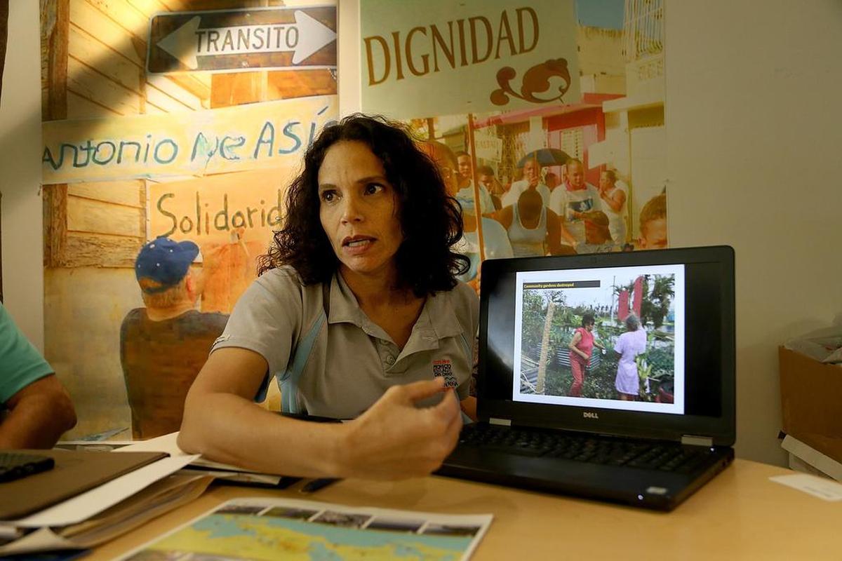 Lyvia Rodríguez, directora ejecutiva del Proyecto Enlace.