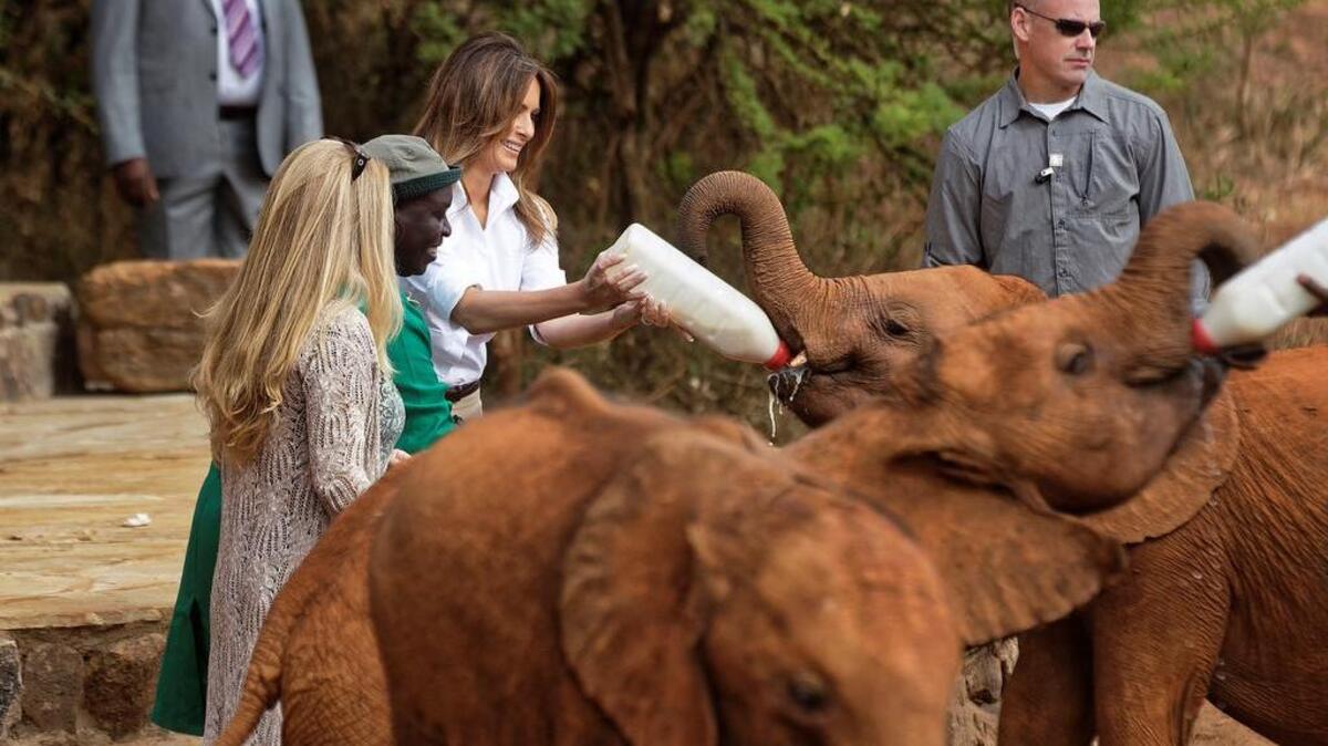 La primera dama de los Estados Unidos, Melania Trump (c), da de comer a una cría de elefante durante su visita al orfanato de elefantes de David Sheldrick en Nairobi (Kenia), hoy, 5 de octubre de 2018.