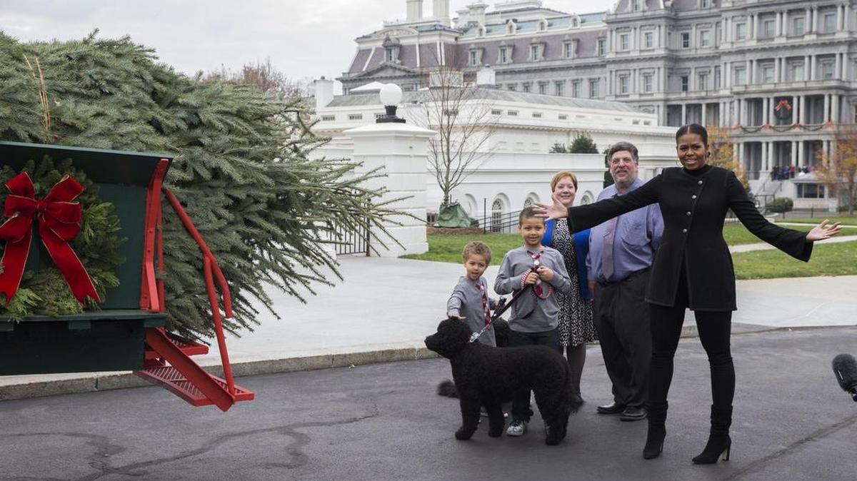 La primera dama de Estados Unidos, Michelle Obama (d), junto a los ganadores del concurso de la Asociación Nacional del Árbol Navideño, Dave Vander Velden (2-d) y Mary Vander Velden (3-d) de Oconto, y sus sobrinos Austin (2-i) y Aaron Robinson (i), reciben al árbol navideño oficial de la Casa Blanca en Washington, Estados Unidos, hoy 25 de noviembre de 2016.