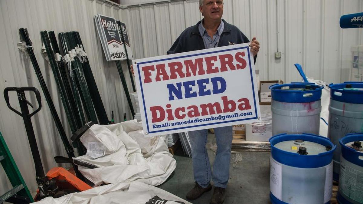 El agricultor Perry Galloway sostiene un letrero que dice "Los agricultores necesitan Dicamba" en su granja en Gregory, Arkansas, el 7 de noviembre de 2017. El uso del herbicida Dicamba ha enfrentado a los agricultores entre sí, ya que Arkansas debate si defender el 16 de abril anual 31 de octubre prohibición de su uso.