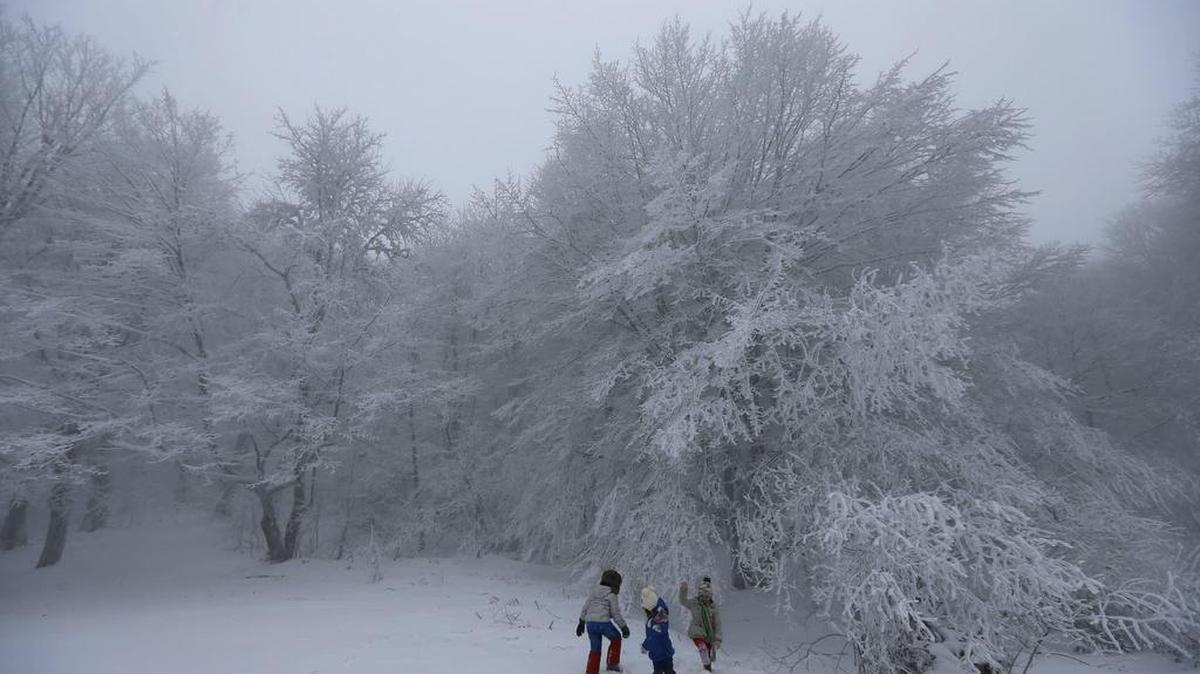 Los niños juegan entre los árboles cubiertos de nieve en el Parque Nacional de Tbilisi, en las afueras de Tbilisi, Georgia, el 10 de diciembre de 2016.