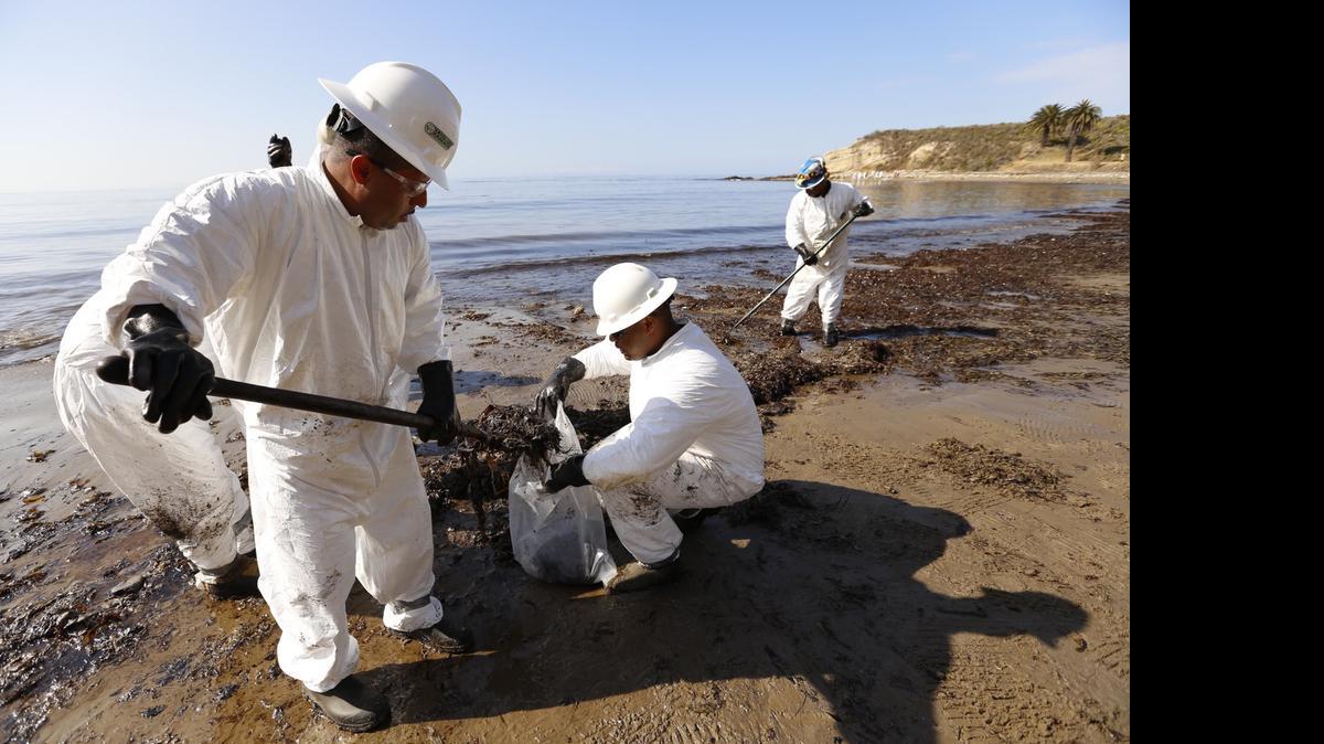 
La mancha negra, que comenzó a formarse el martes, ha afectado 14 kilómetros de una concurrida zona turística costera situada al noroeste de Los Ángeles, en la costa del Pacífico.
