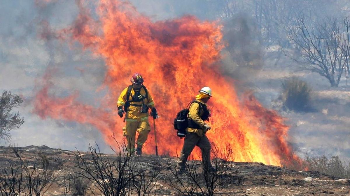 Los investigadores hallaron que desde 1984, condiciones más secas y temperaturas más altas han hecho que los incendios abarcaran 41,500 kilómetros cuadrados más, unas 30 veces el tamaño de Los Ángeles.