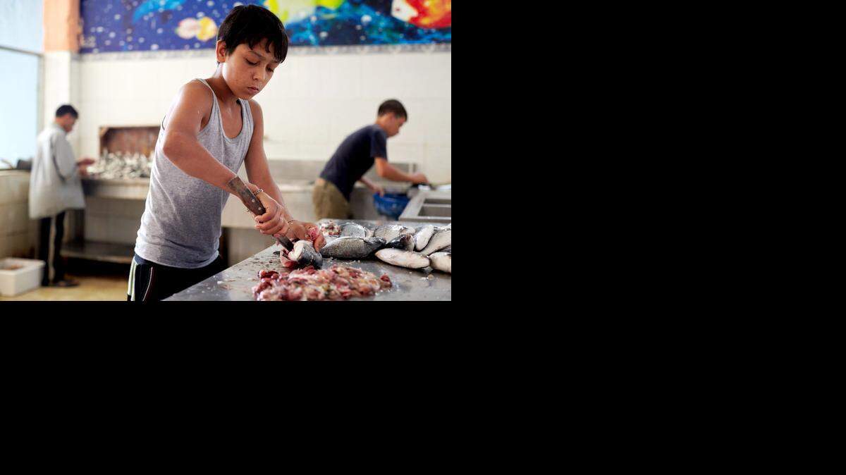 
Decenas de millones de niños se vieron obligados a trabajar en el pasado año en el mundo, según un informe del Departamento de Trabajo de EEUU.
