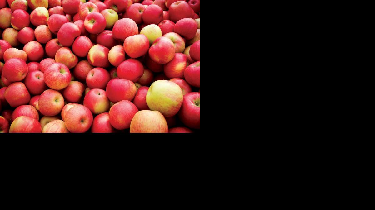 
La bacteria listeria fue encontrada en la instalación de una empacadora de manzanas en California. 
