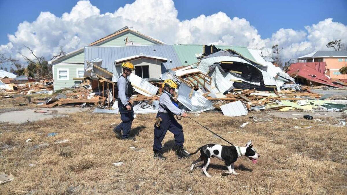 Un equipo de rescate ayudado por un perro entrenado en busca de víctimas en Mexico Beach, Florida, después del huracán Michael el 15 de octubre de 2018.