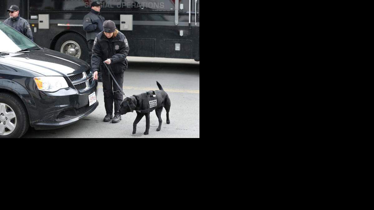 
Un agente se auxilia de un perro para rastrear un vehículo cerca de la Corte federal de Boston, donde se realiza el juicio al acusado de los atentados.


