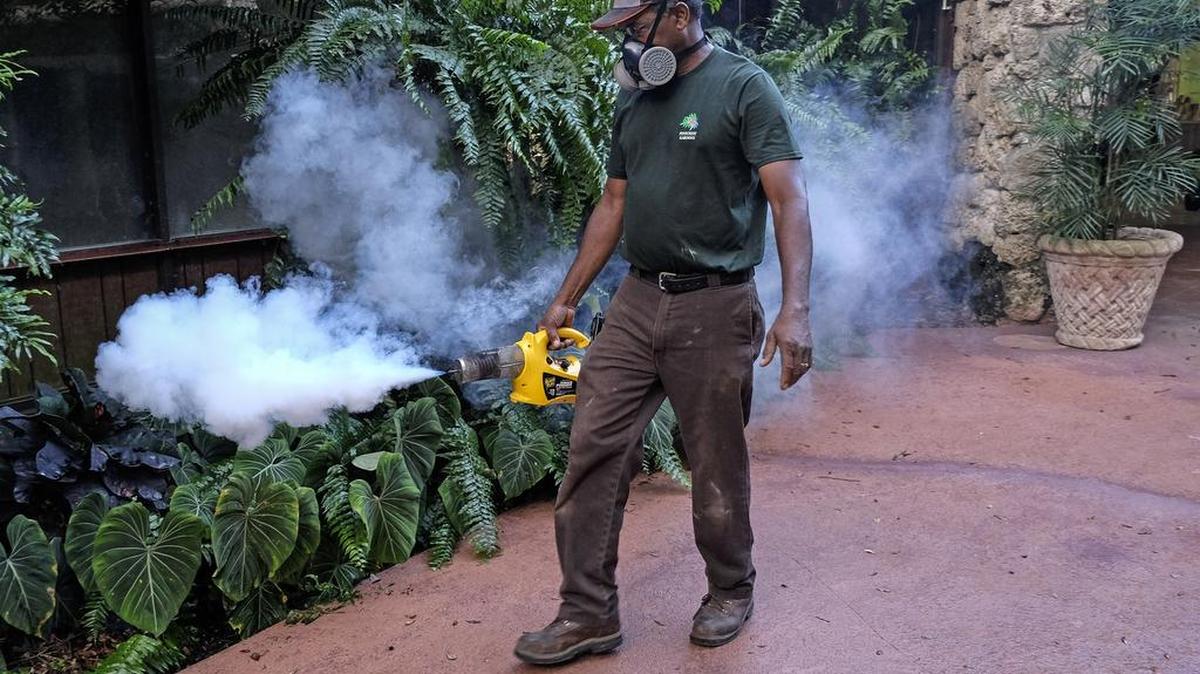 Las autoridades sanitarias estadounidenses comenzaron la semana pasada las primeras pruebas médicas de una vacuna contra el zika, con ensayos en al menos 80 voluntarios sanos de entre 18 y 35 años.