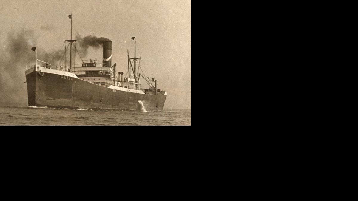 <cutline_leadin>El SS Selja</cutline_leadin> transportaba bienes desde China a San Francisco en la densa niebla cuando chocó con otro barco, el SS Beaver. Dos tripulantes chinos murieron, pero el resto de la tripulación del Selja fue rescatada.