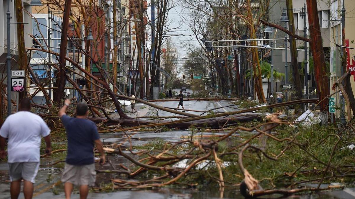 Hombres caminan junto a varios árboles dañados después del paso del huracán María, en San Juan, Puerto Rico, el 20 de septiembre de 2017.
