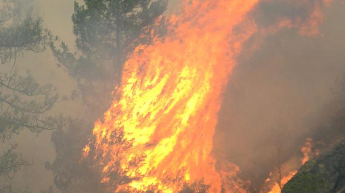 
Un incendio consume una zona boscosa en Clearwater River en la región centro-norte de Idaho.
