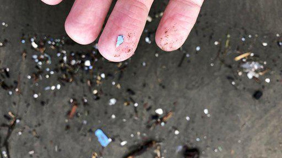 Los microplásticos se están metiendo en nuestros cuerpos.
