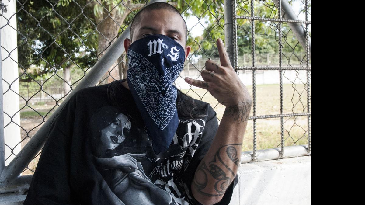 
Un grupo de 16 pandilleros de la MS-13, como también se la conoce, fueron detenidos el miércoles, y los restantes fueron capturados en días anteriores.
