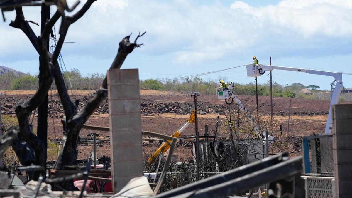 Muchos de los 60,000 postes eléctricos de la empresa Hawaiian Electric Co., en su mayoría de madera, que según sus propios documentos se construyeron según “una norma obsoleta de los años sesenta”, estaban inclinados y cerca del final de su vida útil.