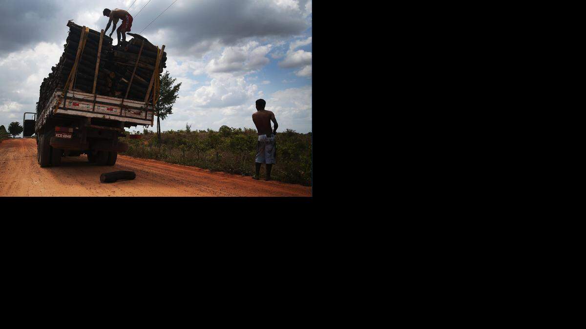 
Un camion transporta madera cortada ilegalmente en la cuenca del río Amazonas en Brasil. Importadores europeos se niegan a comprar madera ilegal en el Amazonas.
