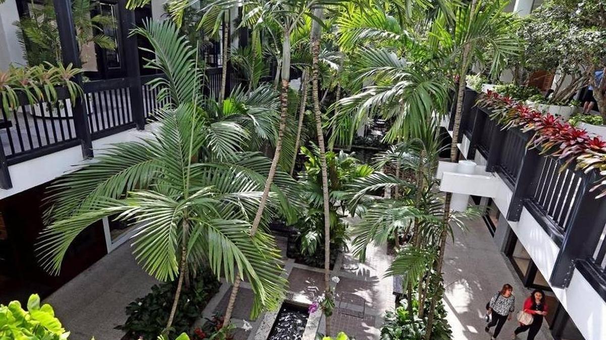Bal Harbour Shops, que celebró el año pasado su 50 aniversario, quiere construir una nueva ala que duplicaría su tamaño a unos 800,000 pies cuadrados. El centro comercial al aire libre cuenta con inquilinos que son la crema de la crema del comercio de lujo: Gucci, Prada, Valentino, Chanel, Armani, entre otros.