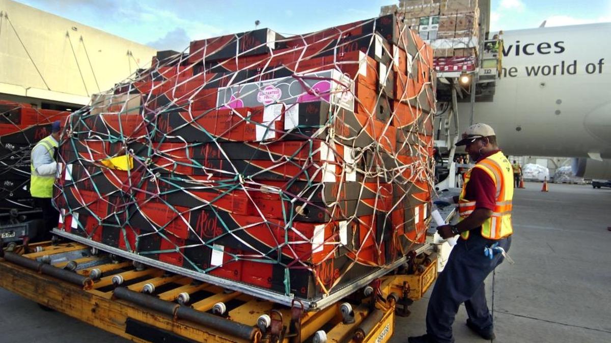 Rosas de Colombia arriban al aeropuerto internacional de Miami. El comercio con ese país latinoamericano con el Sur de la Florida probablemente caerá por debajo de los totales del 2011, cuando se den a conocer los datos esta semana.