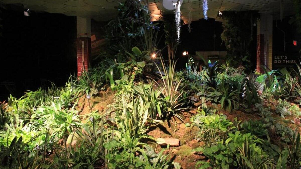 El Lowline fue ideado en 2011 por el arquitecto y exingeniero de la NASA James Ramsey, que tras el éxito del Highline vio en la abandonada estación de tranvías del Bajo Manhattan el lugar perfecto para construir este innovador bosque vanguardista.