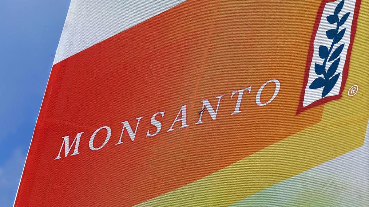 Los accionistas de la estadounidense Monsanto aprobaron el martes casi por unanimidad la oferta de fusión por $66,000 millones presentada por el gigante alemán Bayer.