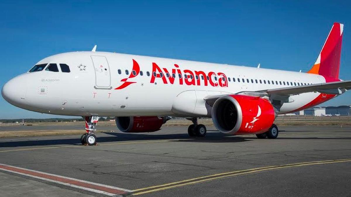 Los vuelos se realizarán en Airbus A330-200, con capacidad para 238 pasajeros y ofecerán dos clases de servicio, 32 asientos en negocios y 206 en la sección económica.