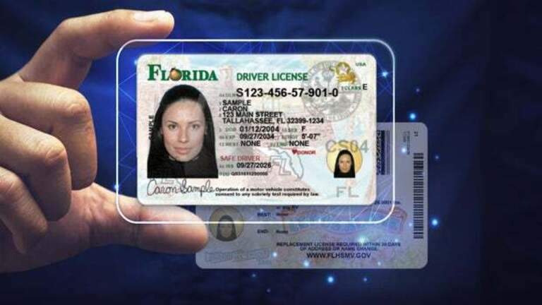 Florida rediseña sus licencias e identificaciones: ¿qué cambia y a quiénes afecta?