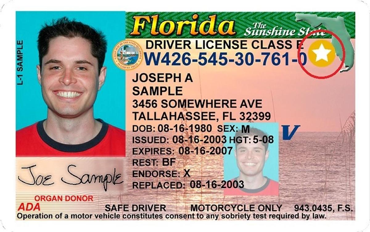 Prototipo de la licencia de conducir de la Florida